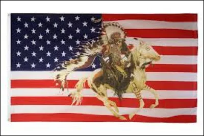 Quel est aujourd'hui le statut des indiens dans leurs réserves ?