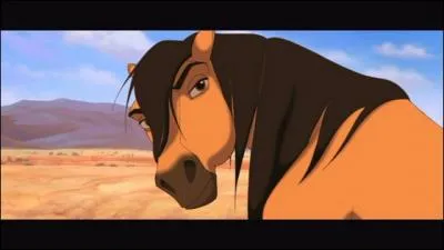 Quelle est la race de Spirit ?