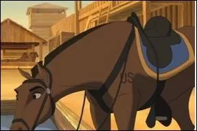 A qui est ce cheval ?