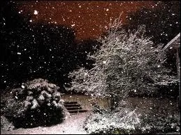 Quel est ce chanteur né le 1er novembre 1943 qui interprétait 'Tombe la neige' ?