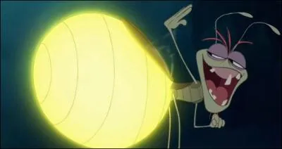 Comment s'appelle cette luciole ?