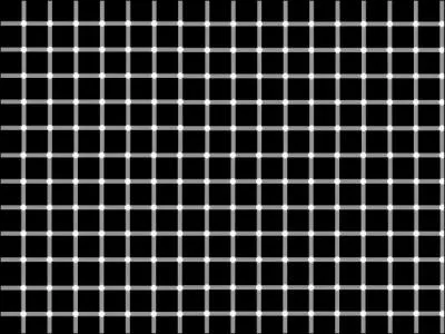 De quelle couleur sont les points entre le lignes ?