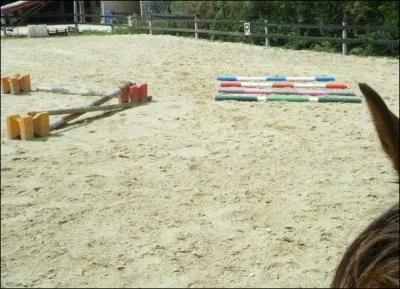 En gnral, quel type d'obstacle franchit-on la premire fois ?