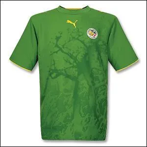 A quelle quipe appartient ce maillot ?