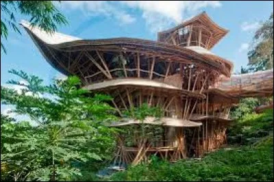 ''L'été dernier fatigué 
Je suis parti sur une chaloupe 
Bronzer ma carte de crédit 
À la Guadeloupe 
Dans un palace en bambou 
J'ai rencontré Banana 
La fille du roi du vaudou 
Qui m'a fait un truc extra''