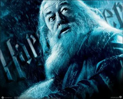 Les passe-temps de Albus Dumbledore sont... . .