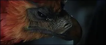 Reconnaissez-vous celle-ci ?