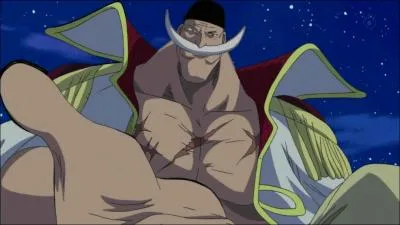 Quel surnom Luffy donne-t-il  ce personnage ?