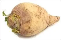 Toutefois la tradition britannique voulait plutt qu'on sculpte :