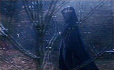 Quel jour de l'anne Voldemort s'est-il rendu chez Lily, James et Harry Potter, dans le but de tuer ce dernier ?