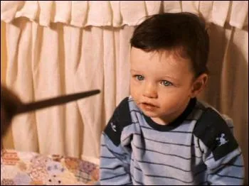 Selon la prophtie incomplte, une personne anantirait Voldemort. Il pourrait s'agir de deux enfants : lesquels ?