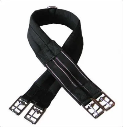 Comment appelle-t-on ceci ?