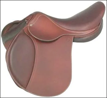 Comment appelle-t-on ce qu'on pose sur le dos du cheval quand on le monte ?