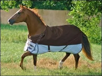 On m'utilise quand le cheval est tondu, mais on peut aussi bien m'utiliser quand il est au pr. Je veux parler de...