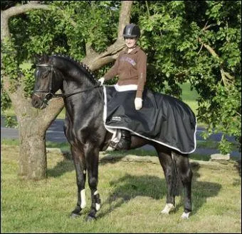 On utilise cette couverture' pour faire en sorte que le cheval n'attrape pas froid quand il travaille, on le met gnralement en automne ou en hiver. C'est...