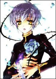 Quel est le nom du chevalier de la rose bleue ?