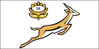 Comment se nomment les joueurs de rugby de l'équipe d'Afrique du Sud ?