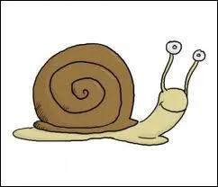 Nous commencerons par ce que les grands restaurateurs ont coutume d'appeler 'le dlice de l'escargot' :