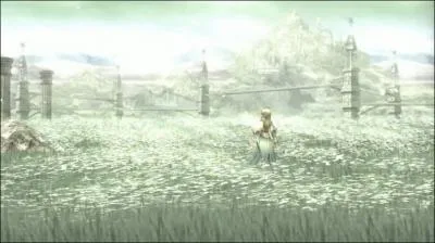 Vrai ou faux : 'Cette image est tire de Valkyrie Profile 2. '