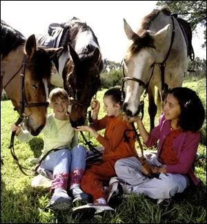 Comment s'appelle leur club ?