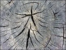 Comment crit-on un petit intervalle entre les parties d'un tout :