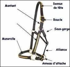 Qu'est-ce que c'est ?