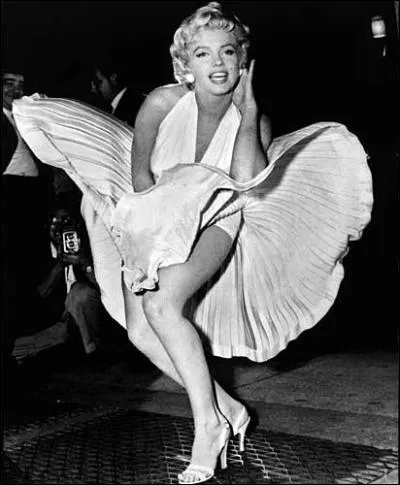 En quelle anne est sorti ' Sept ans de reflexion ' ?