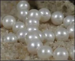 O sont cultives 'les perles d'eau douce' ?