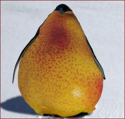 Quel animal et quel fruit voyez-vous sur cette image ?