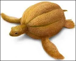 Quel animal et quel fruit voyez-vous sur cette image ?