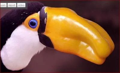 Quel animal et quel lgume voyez-vous sur cette image ?