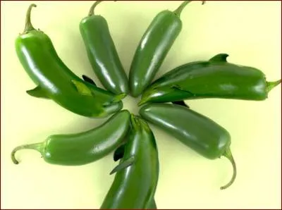 Quels animaux et quels lgumes voyez-vous sur cette image ? (N'oubliez pas de cliquer sur la photo pour zoomer)