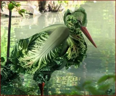 Quel animal et quel lgume voyez-vous sur cette image ?