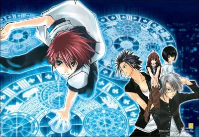 Comment s'appelle ce manga ?