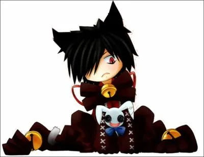 A quel anime appartient ce chat ?