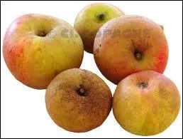 Une pomme du jardin de nwt peut-tre ?