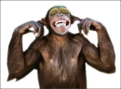 Comment dit-on 'singe' en espagnol ?