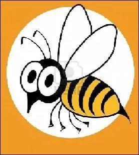 Comment dit-on 'gupe' en espagnol ?