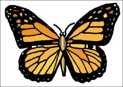 Comment dit-on 'papillon' en espagnol ?