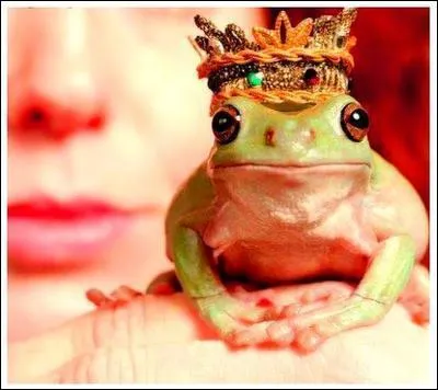 Comment dit-on 'crapaud' en espagnol ?