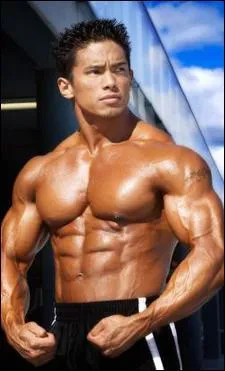 A quoi servent les muscles ?