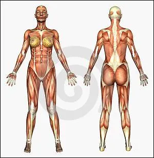 Laquelle de ces affirmations est correcte ?