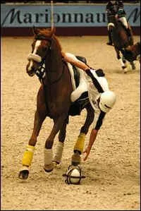 Quelle est cette activit ?