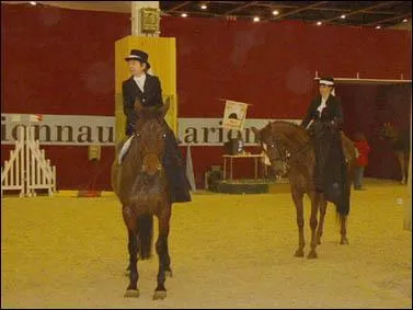 Comment appelle-t-on ce genre de monte ?