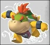 Combien bowser a-t-il d'enfants ?