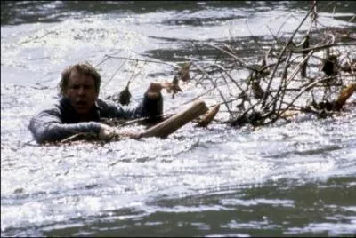 Dans ce film, son personnage se nomme Richard Kimble