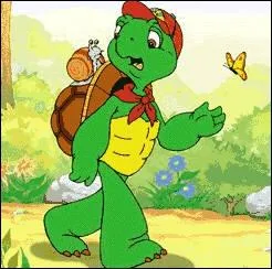 Quel est le nom de cette tortue ?