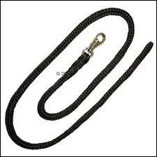 Qu'est-ce que c'est ?