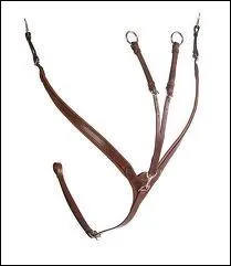 Qu'est-ce que c'est ?