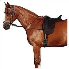 Qu'est-ce que c'est ?